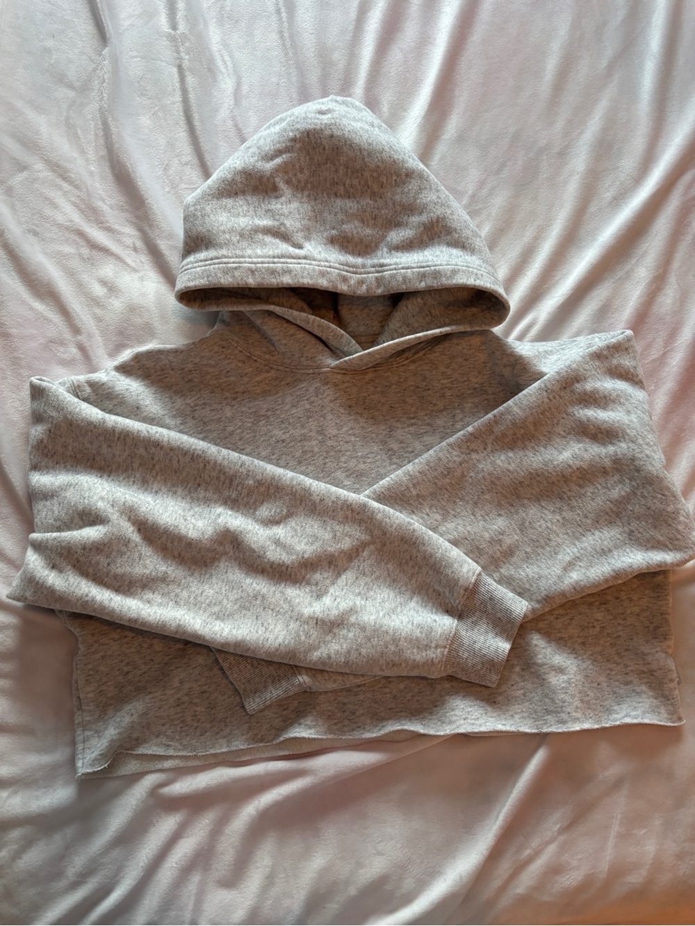 Aritzia TNA Women's Gray Hooded Crop Sweater